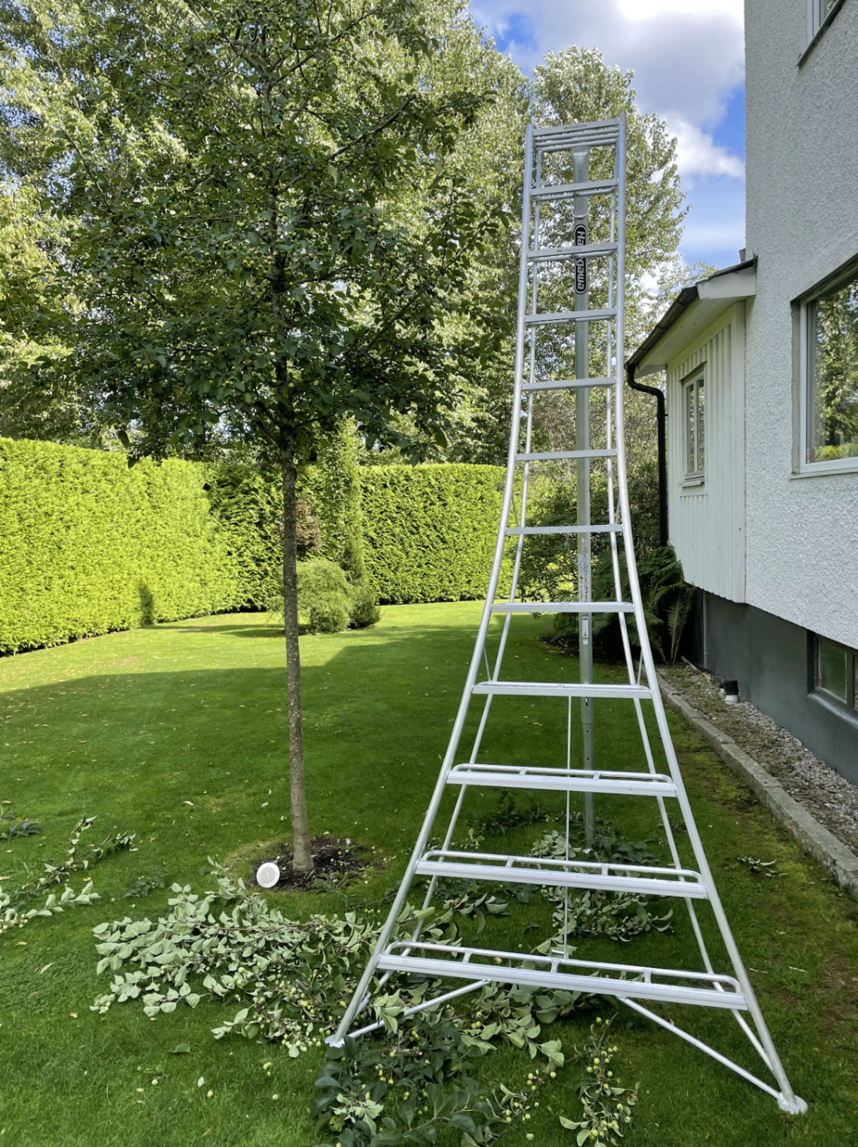 Trädgårdsarbete med stege och häck
